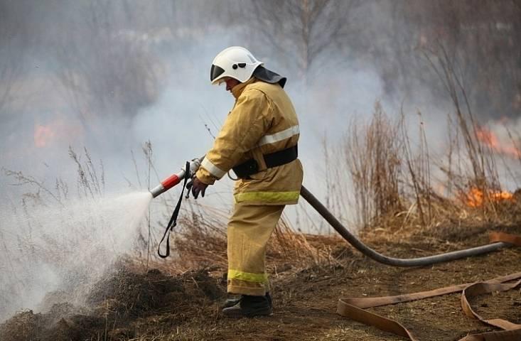 В Приморье пожарами охвачена 1,7 тыс. гектаров леса