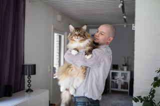 turbolunokhod.livejournal.com | 10 самых толстых котов в мире