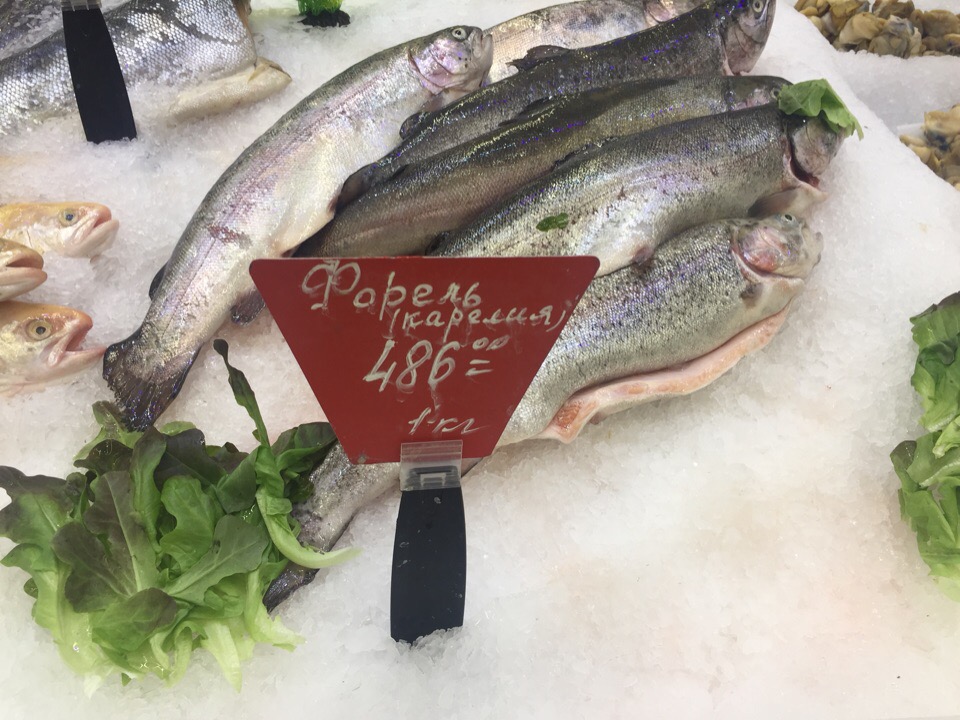 Где Дешевле Купить Рыбки