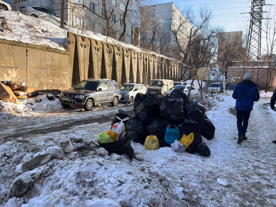 Фото: PRIMPRESS | Коллапс: 1 января Владивосток встретил горами мусора у жилых домов