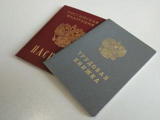 Фото: PRIMPRESS | Новый формат трудовых книжек вводится в России