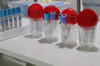 Около 30 тысяч случаев заражения коронавирусом выявлено в Приморье