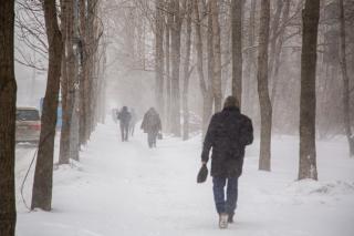 Фото: Татьяна Меель / PRIMPRESS | Второй день нового года в Приморье ожидается снежным