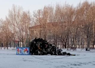 Фото: chernigovka_life | «Скинули и убежали»: в Приморье неизвестные уронили елку на центральной площади