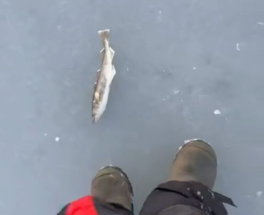 Ледяная ловушка: спасатели бьют тревогу во Владивостоке