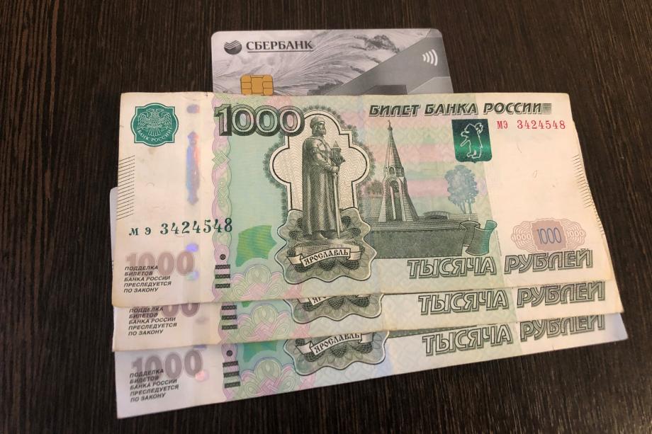 Фото: PRIMPRESS | 4000 рублей зачислят каждому. Всех, у кого есть карта «Мир», ждет сюрприз с 6 января