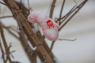 Фото: Татьяна Меель / PRIMPRESS | В отдельных районах Приморья сегодня пройдет небольшой снег