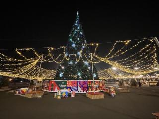 Стало известно, до какого числа владивостокцы смогут посещать центральный каток