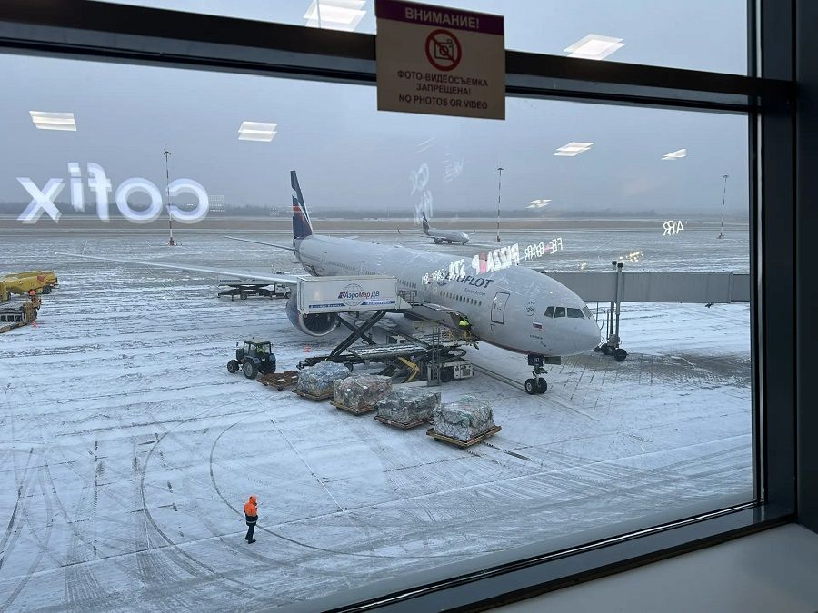 «Снежный Армагеддон» в Москве грозит многочасовыми задержками авиарейсов во Владивосток