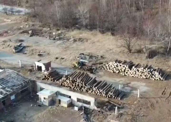 Фото: скриншот kozhemiako.oleg | Губернатор Приморья сделал заявление о незаконном складе лесорубов