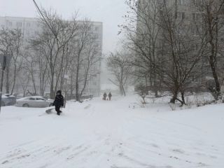 Сильный снегопад остановил общественный транспорт и обесточил сотни жителей Владивостока