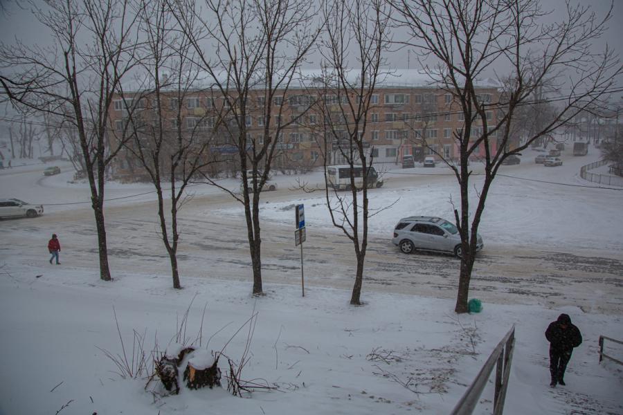 Фото: Татьяна Меель / PRIMPRESS | В Приморье завтра будет холодная ветреная погода