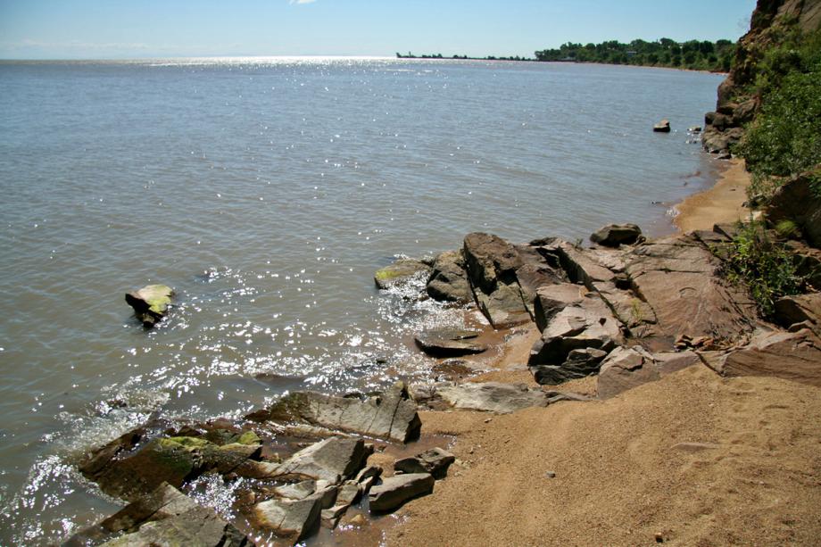 Фото: wikipedia.org | Приморские ученые сделали сенсационное заявление об озере Ханка