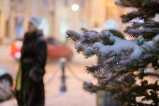 Фото: Татьяна Меель / PRIMPRESS | Синоптики рассказали, какая погода будет в Приморье на старый Новый год