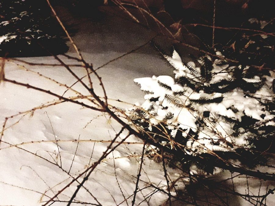 Погода во Владивостоке: сильный ветер, без осадков, морозно