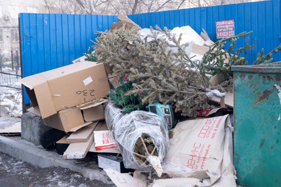 Фото: PRIMPRESS | Как утилизировать живую ель после новогодних праздников во Владивостоке