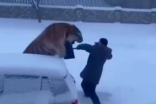 Приморский край назван дальневосточной «Меккой» для кадров с навыками работы с нейросетями