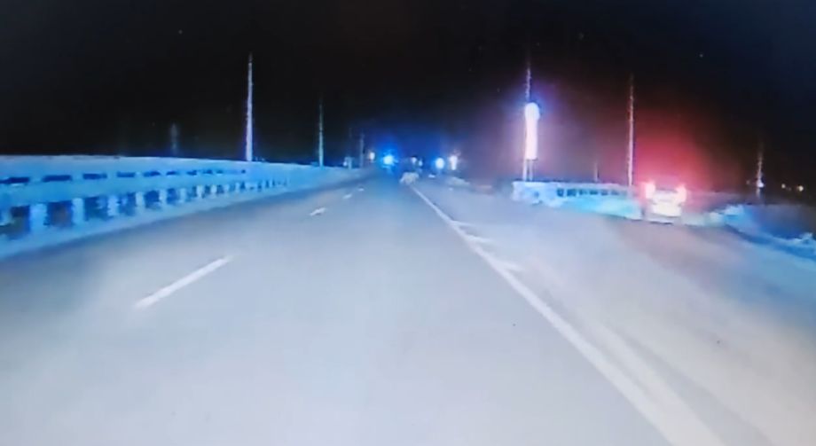 Неожиданный «пешеход» на трассе: в районе Раздольного тигр перебежал дорогу перед машинами