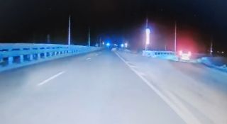 Неожиданный «пешеход» на трассе: в районе Раздольного тигр перебежал дорогу перед машинами