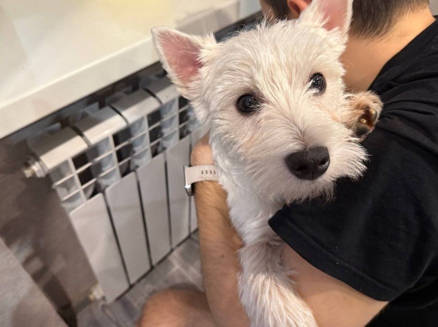 В Приморье дважды за неделю побит исторический рекорд потребления электроэнергии