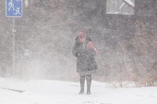 Фото: PRIMPRESS | Мощный снегопад, какого давно не было, обрушится на Владивосток в этот день