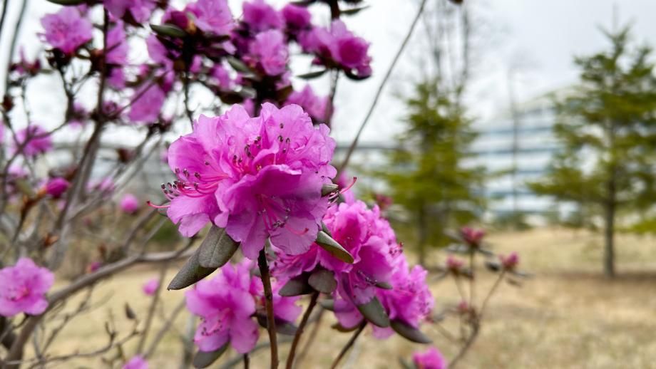 Какой будет весна 2026: подскажет народная примета на 24 января