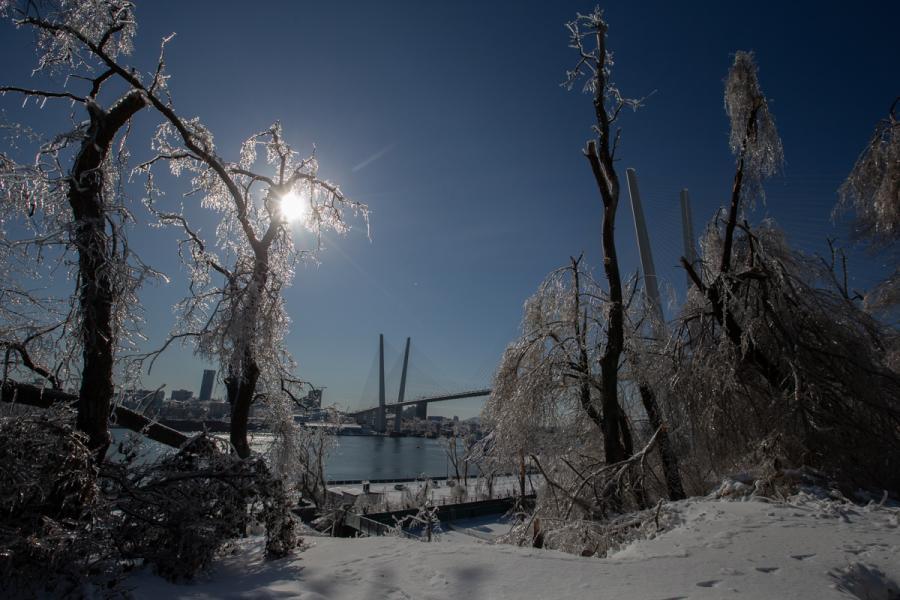 Фото: Татьяна Меель / PRIMPRESS | Ночью во Владивостоке был побит вековой температурный антирекорд