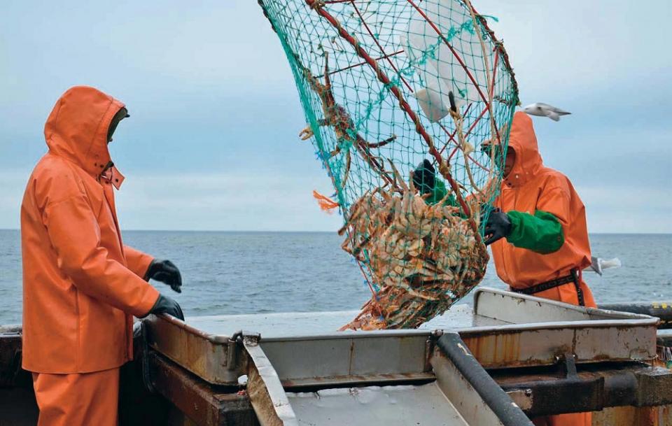 Фото: Ассоциация рыбохозяйственных предприятий Приморского края | Кто хочет посеять хаос в рыбной отрасли?