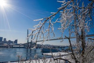 Озвучен прогноз погоды в эти выходные в Приморье