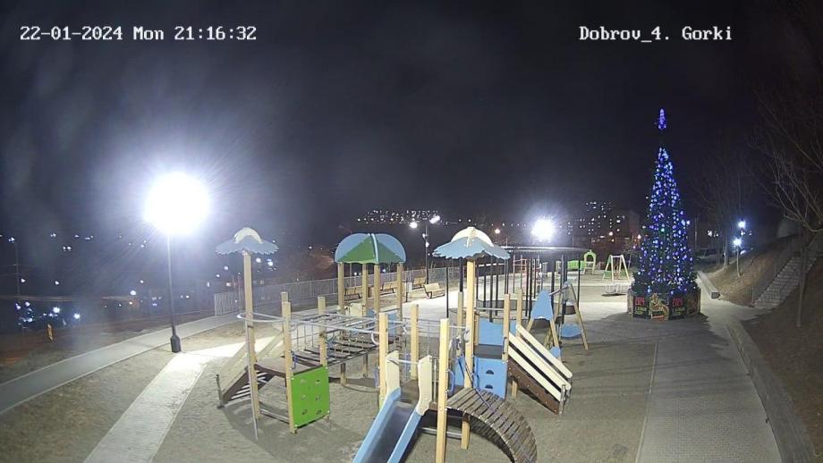 Фото: Дирекция общественных пространств Владивостока | Что творится в парках Владивостока после штормового ветра?