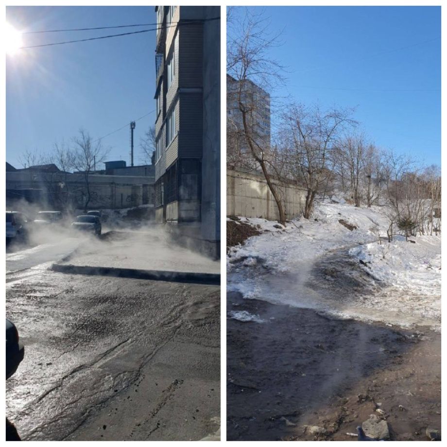 Во Владивостоке озеро с черепахами оказалось под угрозой из-за прорыва трубы