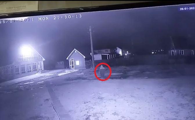 Видео с «хасанским призраком» в Приморье набирает популярность в Сети