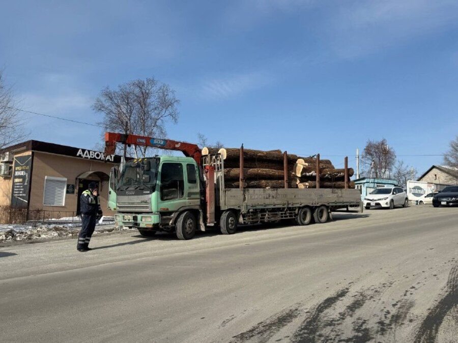 Скандал на трассе в Приморье закончился штрафами и извинениями