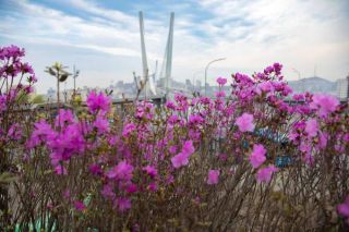 Майские праздники в 2026 году затронут двенадцать выходных