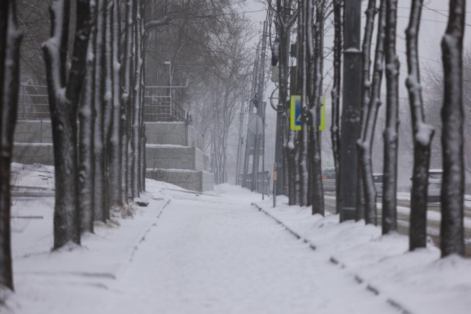 Фото: Татьяна Меель | Всем приготовиться. Уже завтра на Приморье обрушится очередной снегопад