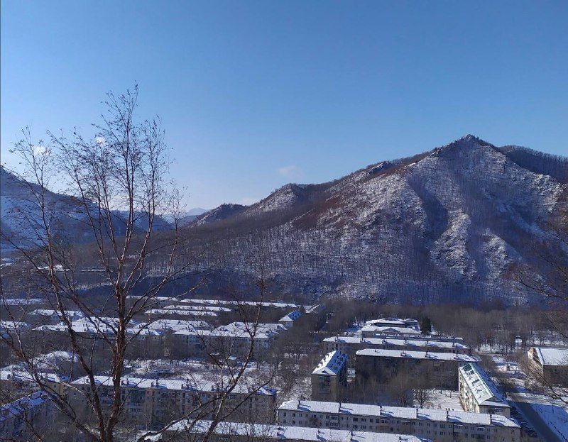 «За порчу флага – в тюрьму»: двух приморских бунтарей ждет суд за надругадельство над флагом