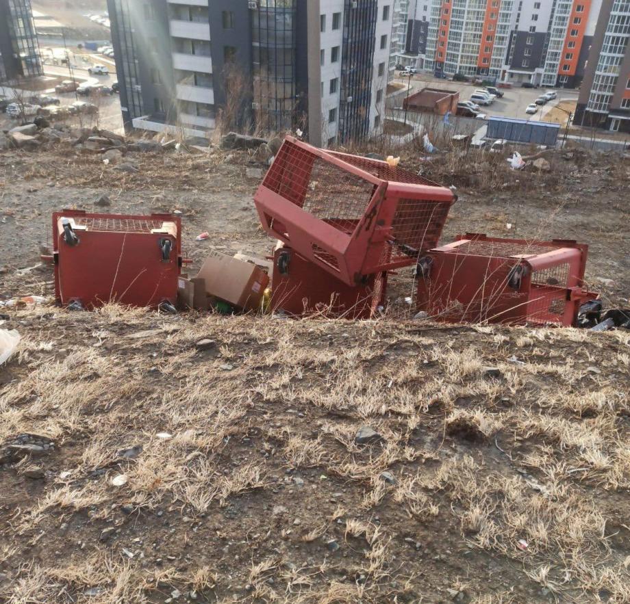 Фото: Telegram-канал "ННовый Владивосток" | Дурнопахнущая проблема. На помойках Владивостока орудуют вандалы