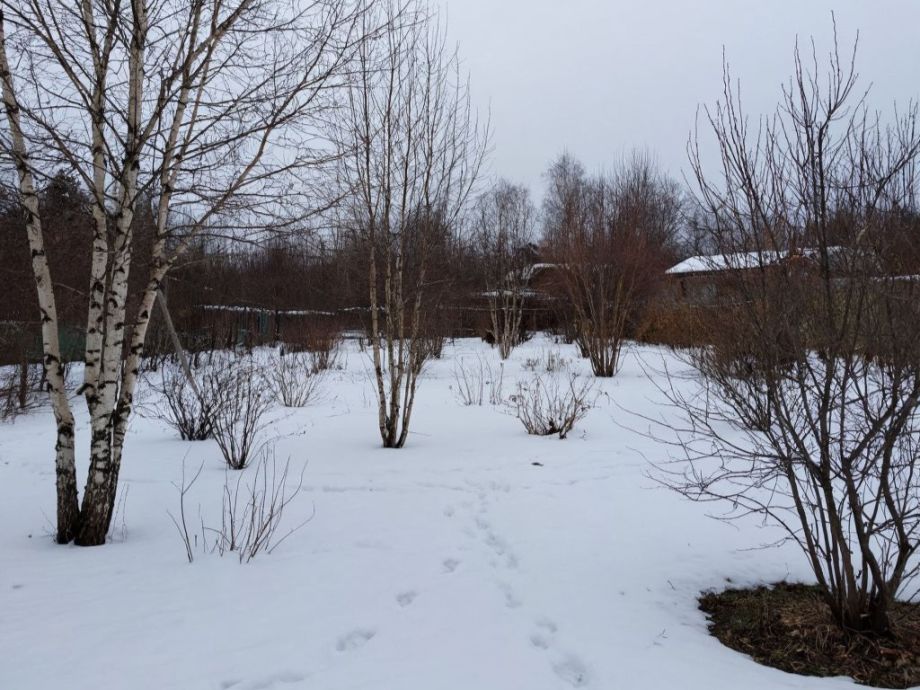 Опоздали на пару недель – остались без урожая: февральская ошибка ломает весь сезон