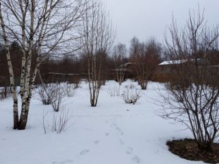 Опоздали на пару недель – остались без урожая: февральская ошибка ломает весь сезон