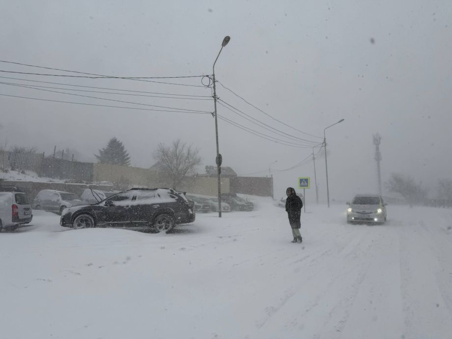 Метель и сильный ветер обрушатся на Владивосток 5 февраля