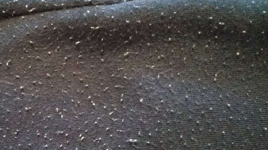 Простой способ избавиться от катышков: одежда как новая, европейский лайфхак