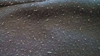 Простой способ избавиться от катышков: одежда как новая, европейский лайфхак