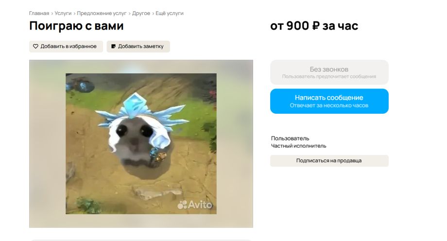 Во Владивостоке теперь можно нанять «игрового джедая» за деньги