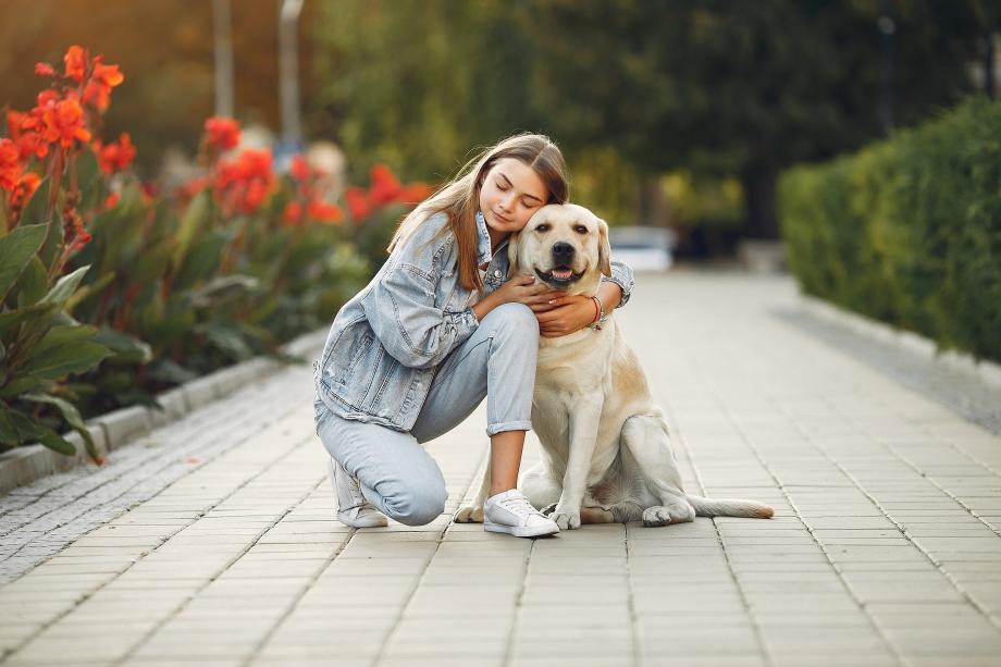 Прогулка с собакой: 10 простых правил для комфорта и безопасности