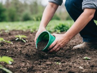 Земля за зиму обеднела: весенняя подкормка почвы, после которой урожай удваивается