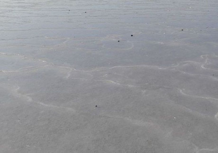 В приморском селе на озере утонул ребенок