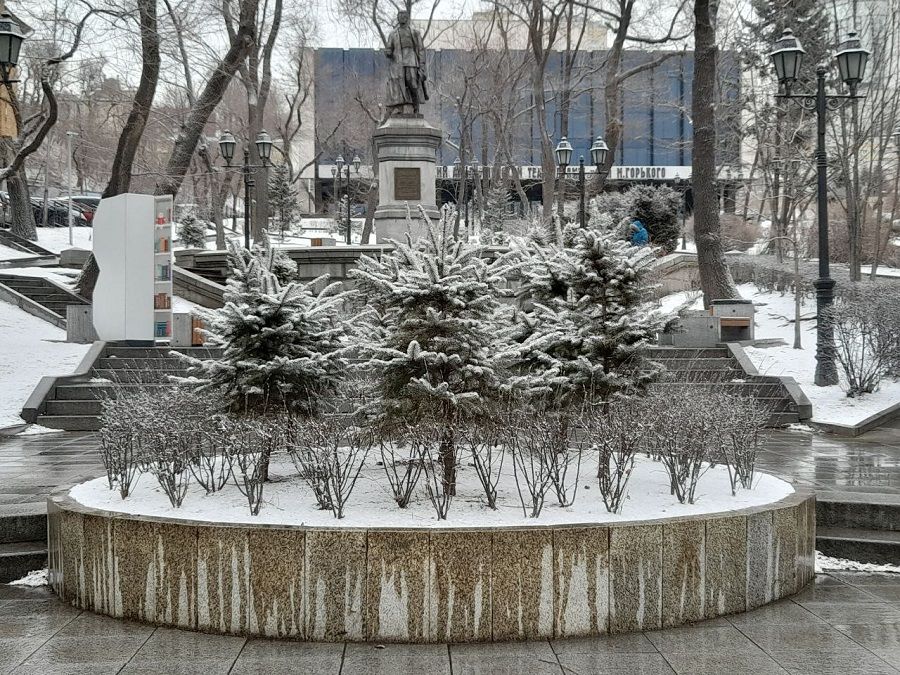 Погода во Владивостоке с понедельника берёт курс на тепло