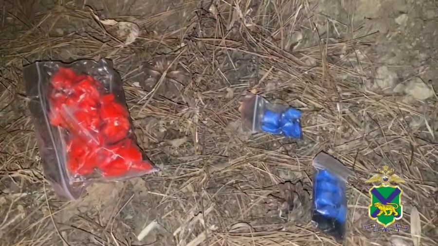 Приморская полиция отчиталась об изъятии за год в крае полутора тонн наркотиков