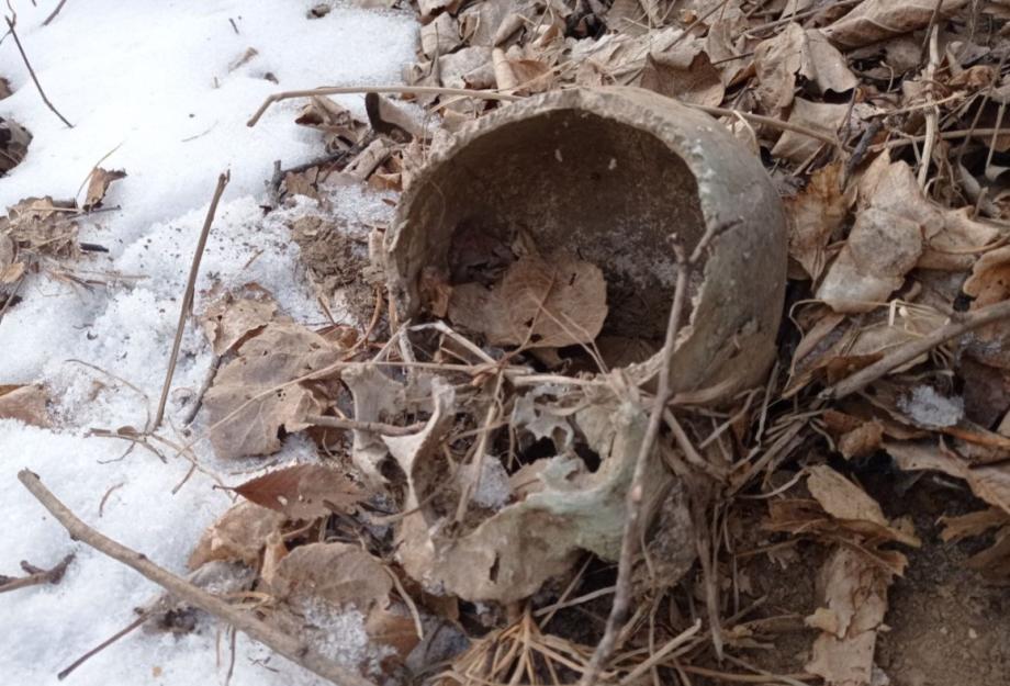 Фото: aviapoisk_dfo | «Обнаружены останки». Специалисты нашли человеческий череп на кладбище в Приморском крае