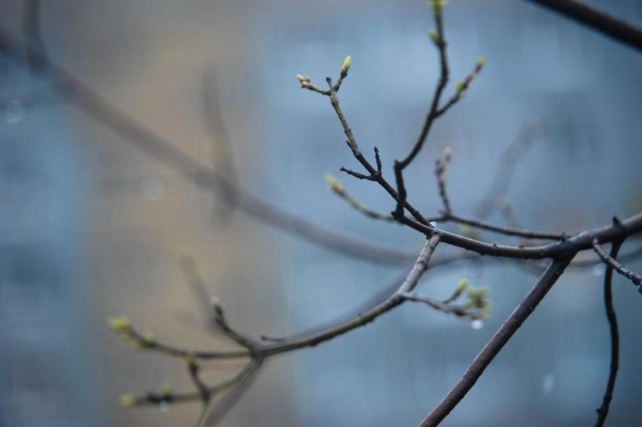 Фото: Семен Апасов | Запахло весной. Плюсовая температура приближается к Приморью